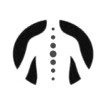 Chiropractic-icon-image