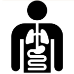 internal medicine icon image